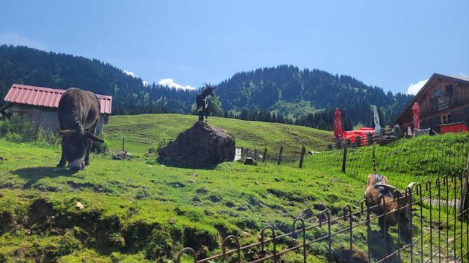 Вілла Jausenstation Neuschwand Гіттізау Екстер'єр фото