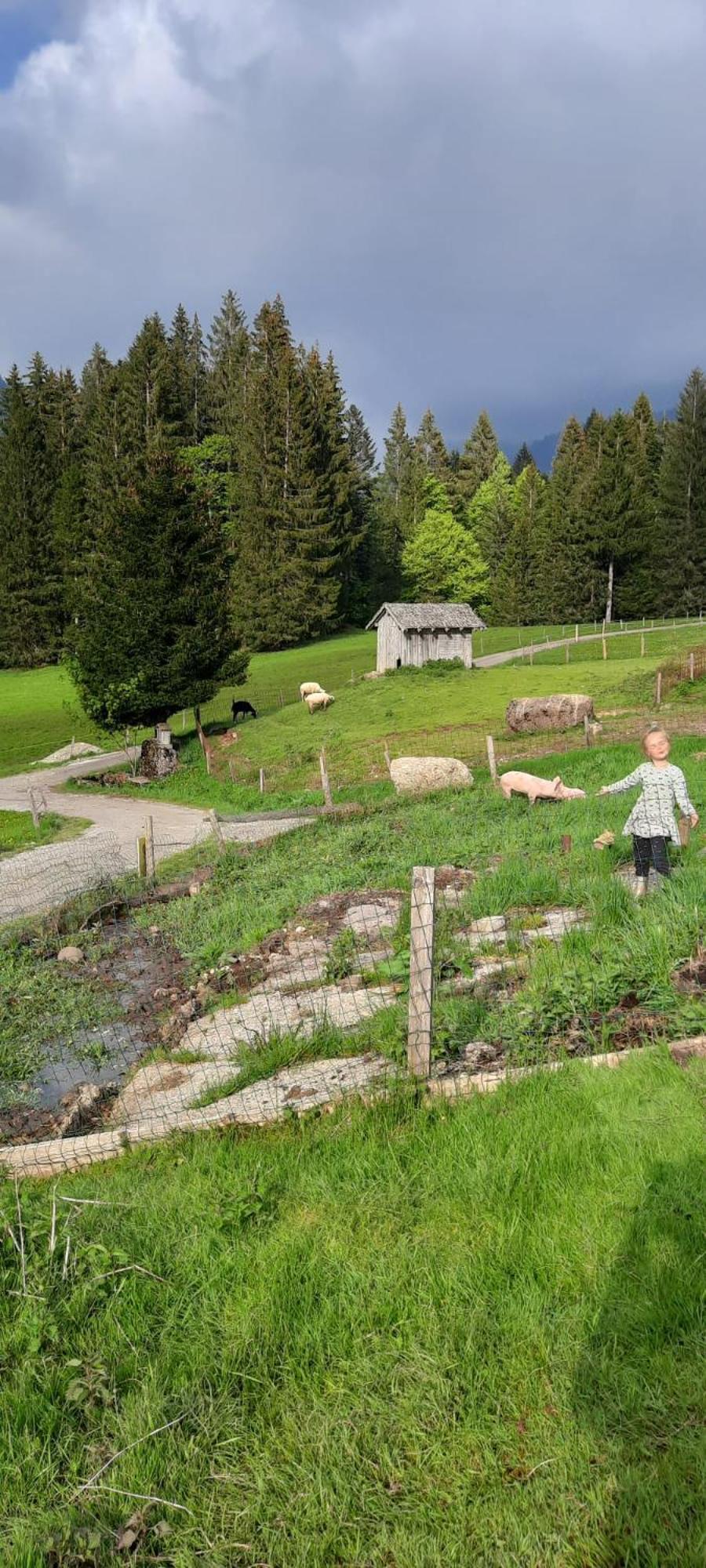Вілла Jausenstation Neuschwand Гіттізау Екстер'єр фото