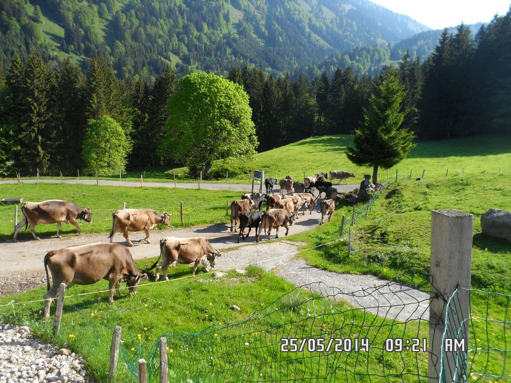 Вілла Jausenstation Neuschwand Гіттізау Екстер'єр фото